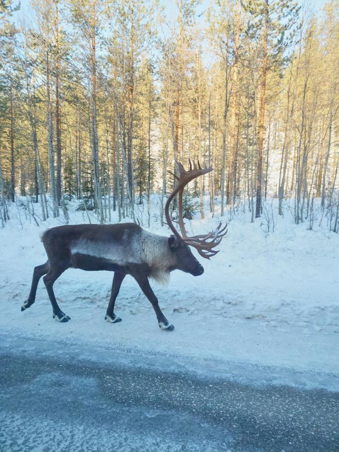 Yllaes Kanerva 105 Äkäslompolo المظهر الخارجي الصورة